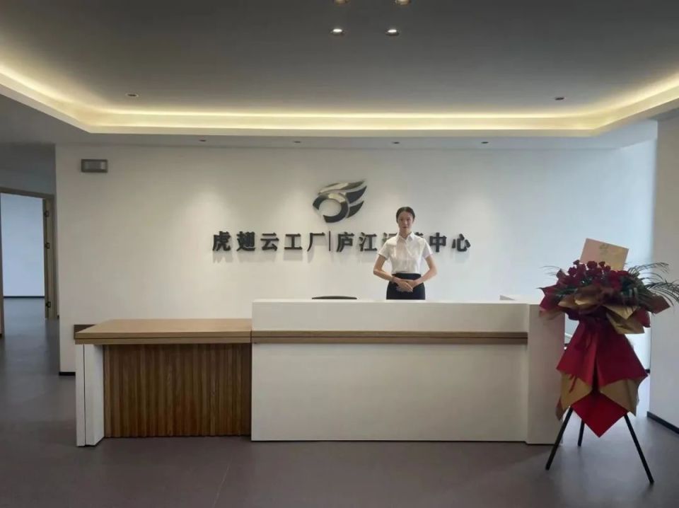 庐江虎翅云工厂数字中心 引领互联网数据服务新篇章